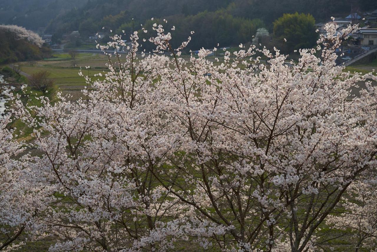 Oldbutnew 蔵 * Hara (Okayama)