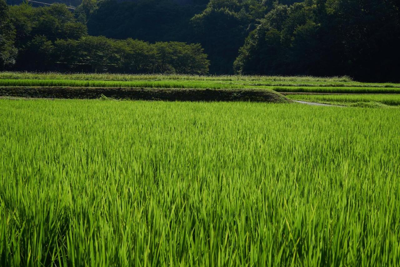 Oldbutnew 蔵 * Hara (Okayama)